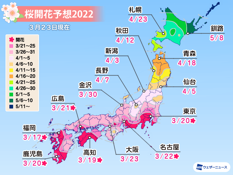 開花予想