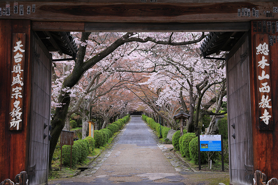 西教寺 比叡山のふもとに