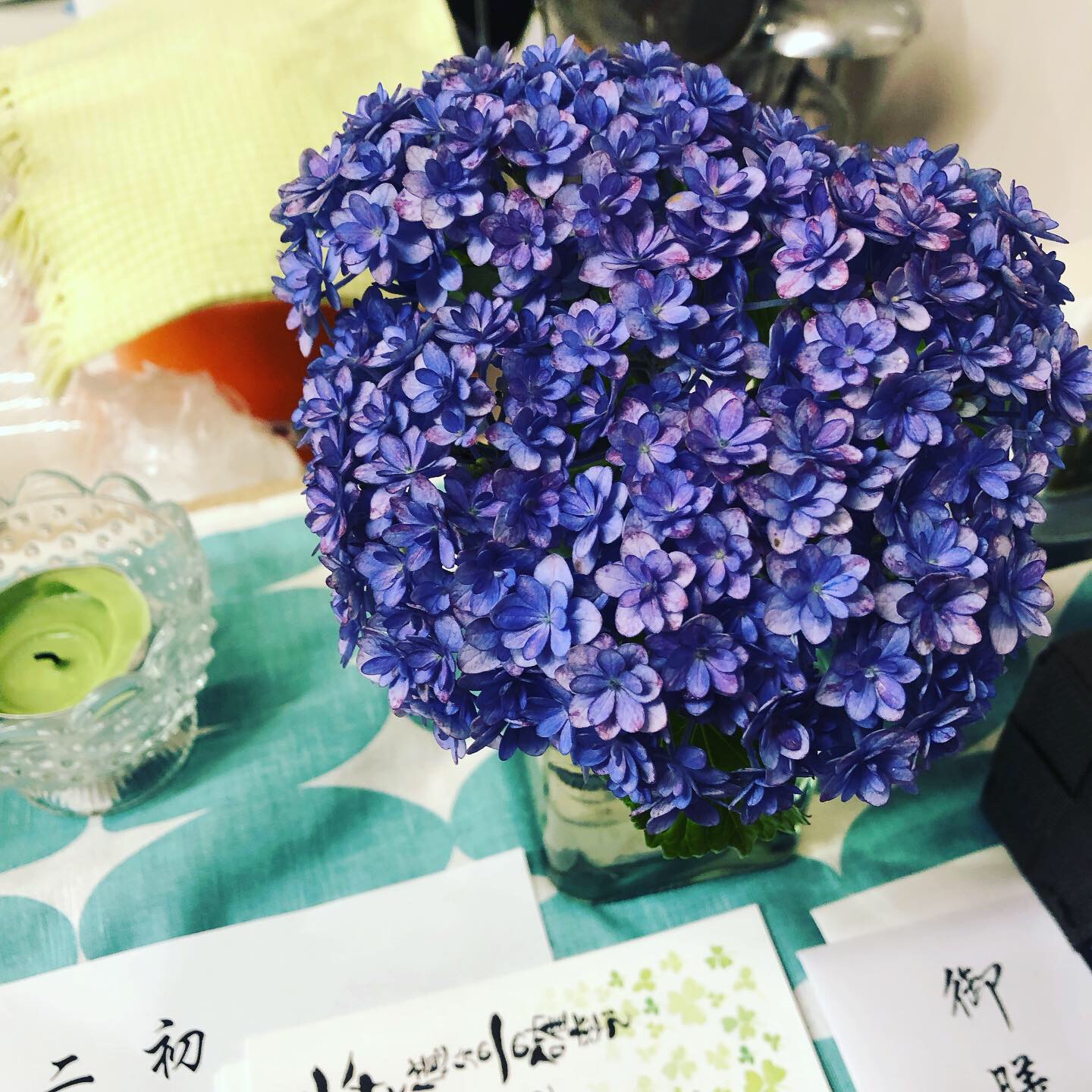 梅雨目前　あじさいの青色は日本だけだった？