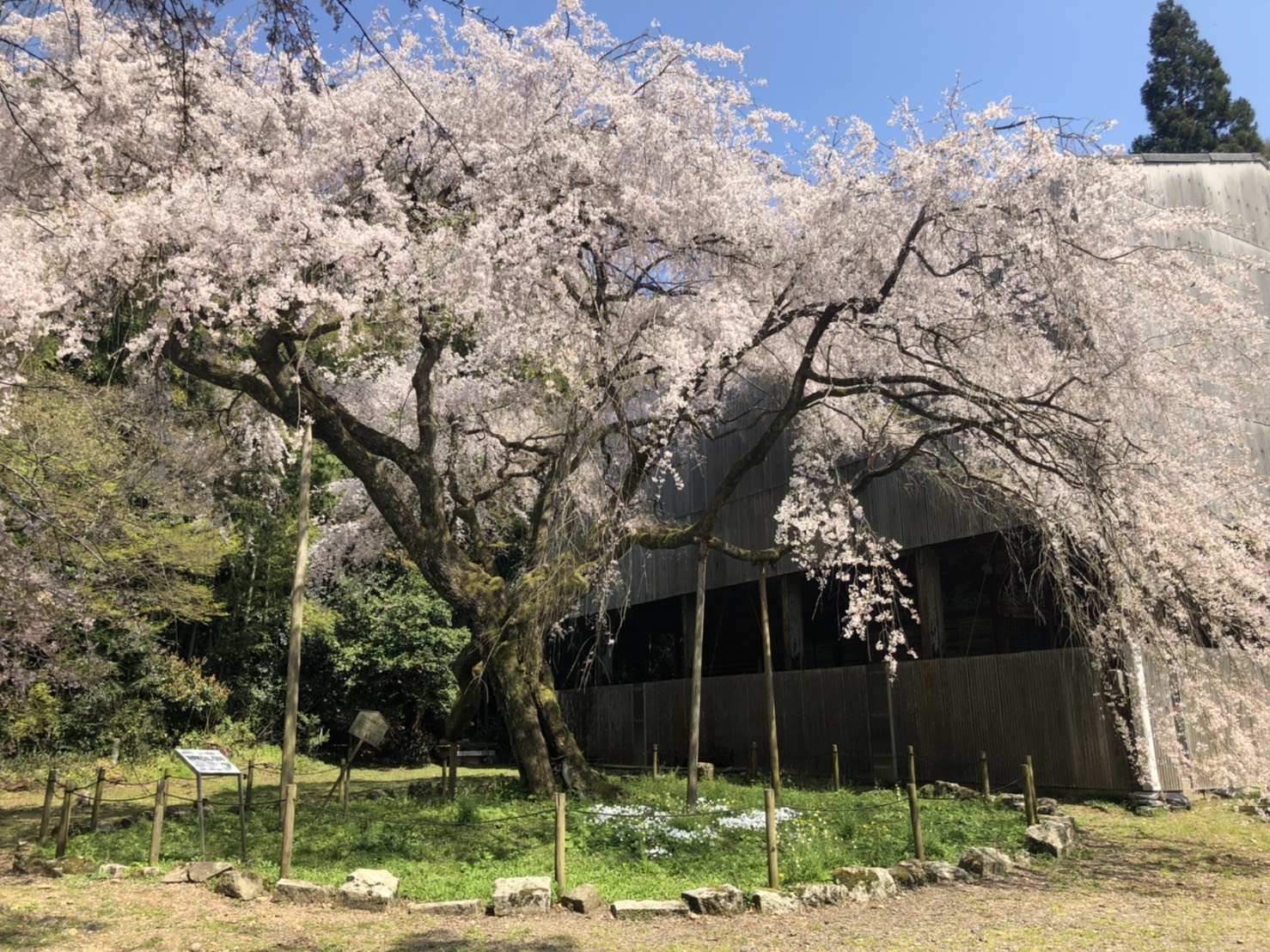 10月になりました。