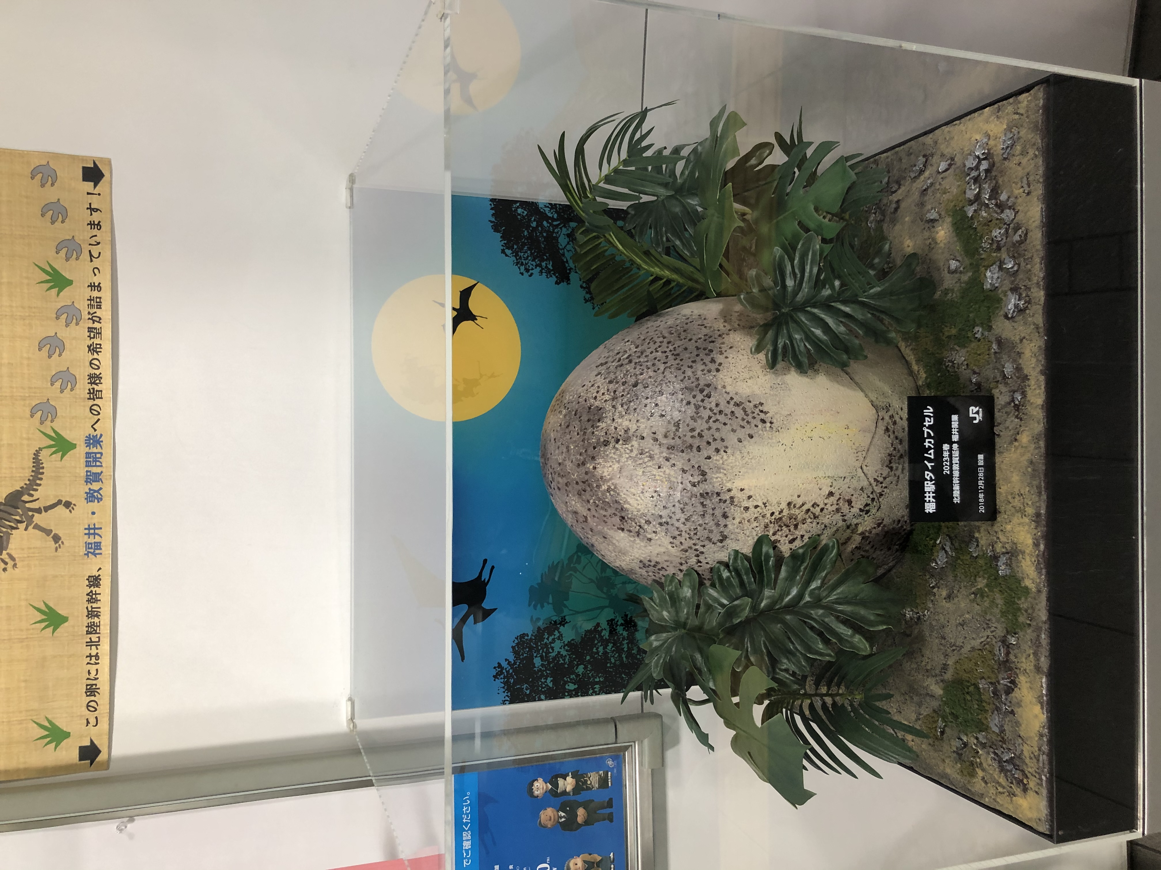 メインイメージ(4)