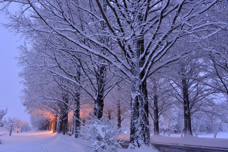 来週は初雪？！！