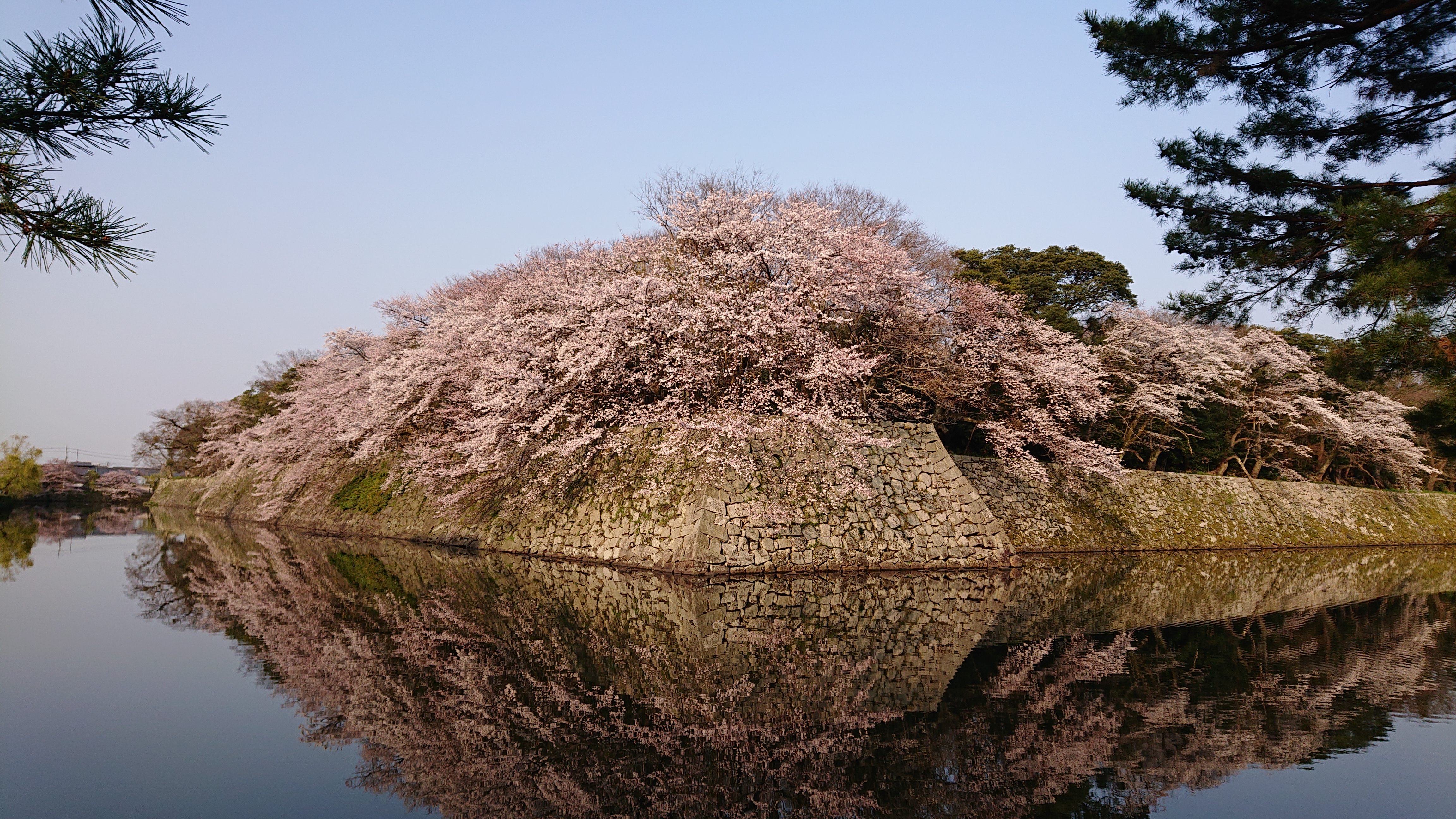 米原　マンスリーマンション